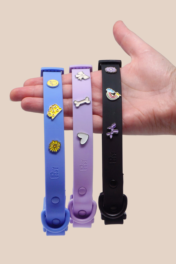 Hundehalsband personalisiert