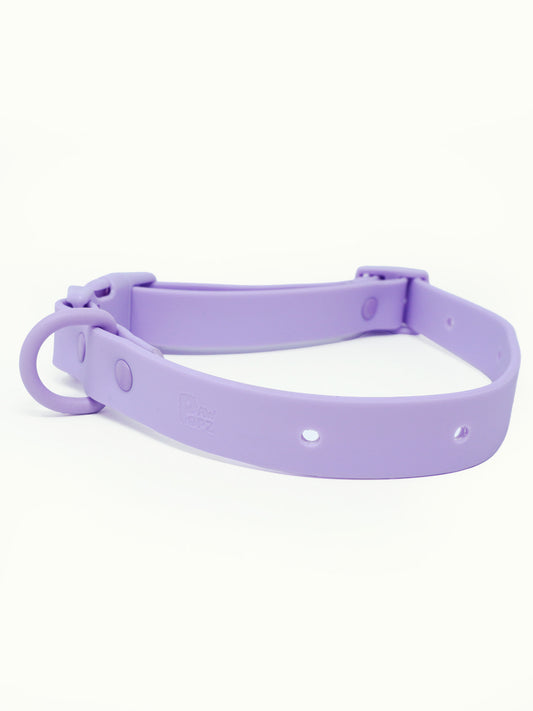 Hundehalsband Outdoor wasserfest