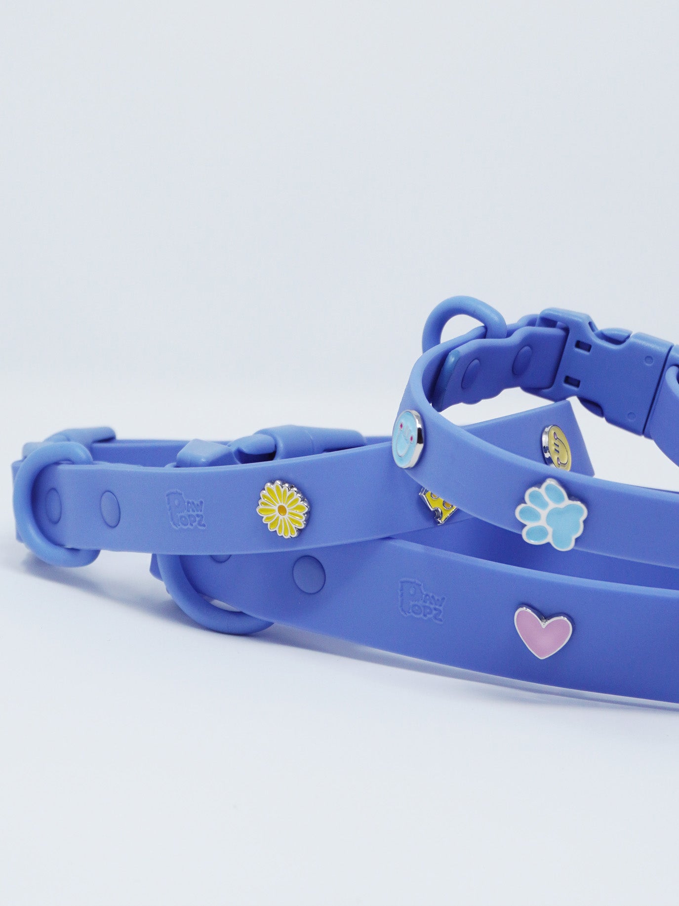 Halsband Leine Set wasserfest