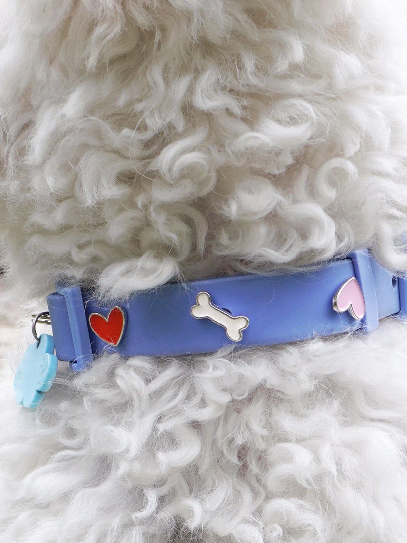 Herz Hundehalsband Anhänger