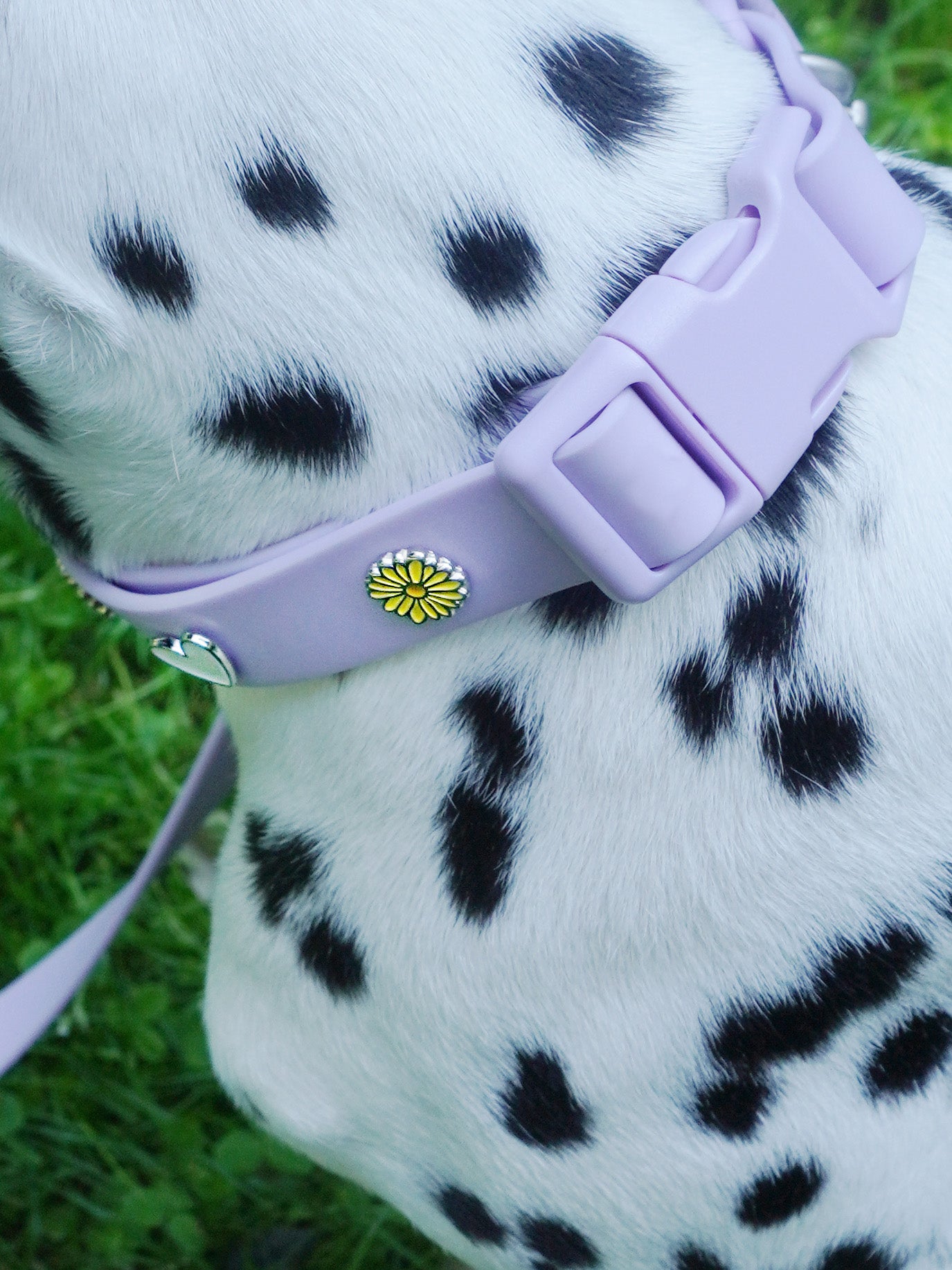 Blume Hundehalsband Anhänger