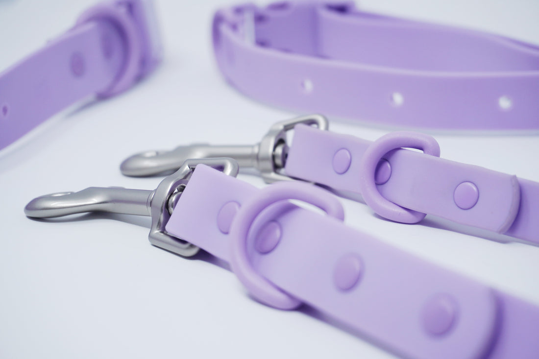 biothane alternative Hundehalsband abwaschbar lila Hundeleine wasserabweisend