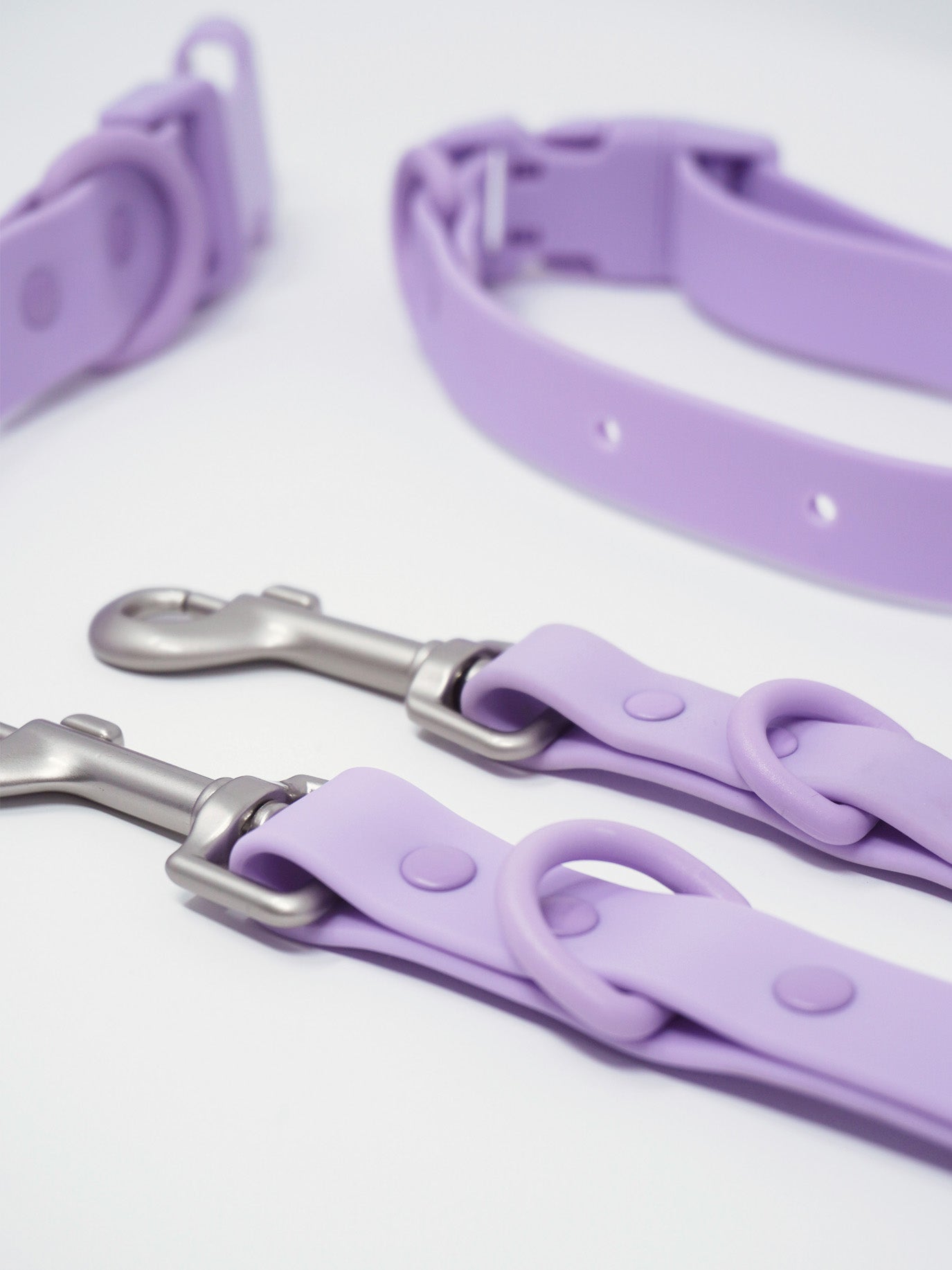 Halsband Leine Set wasserfest