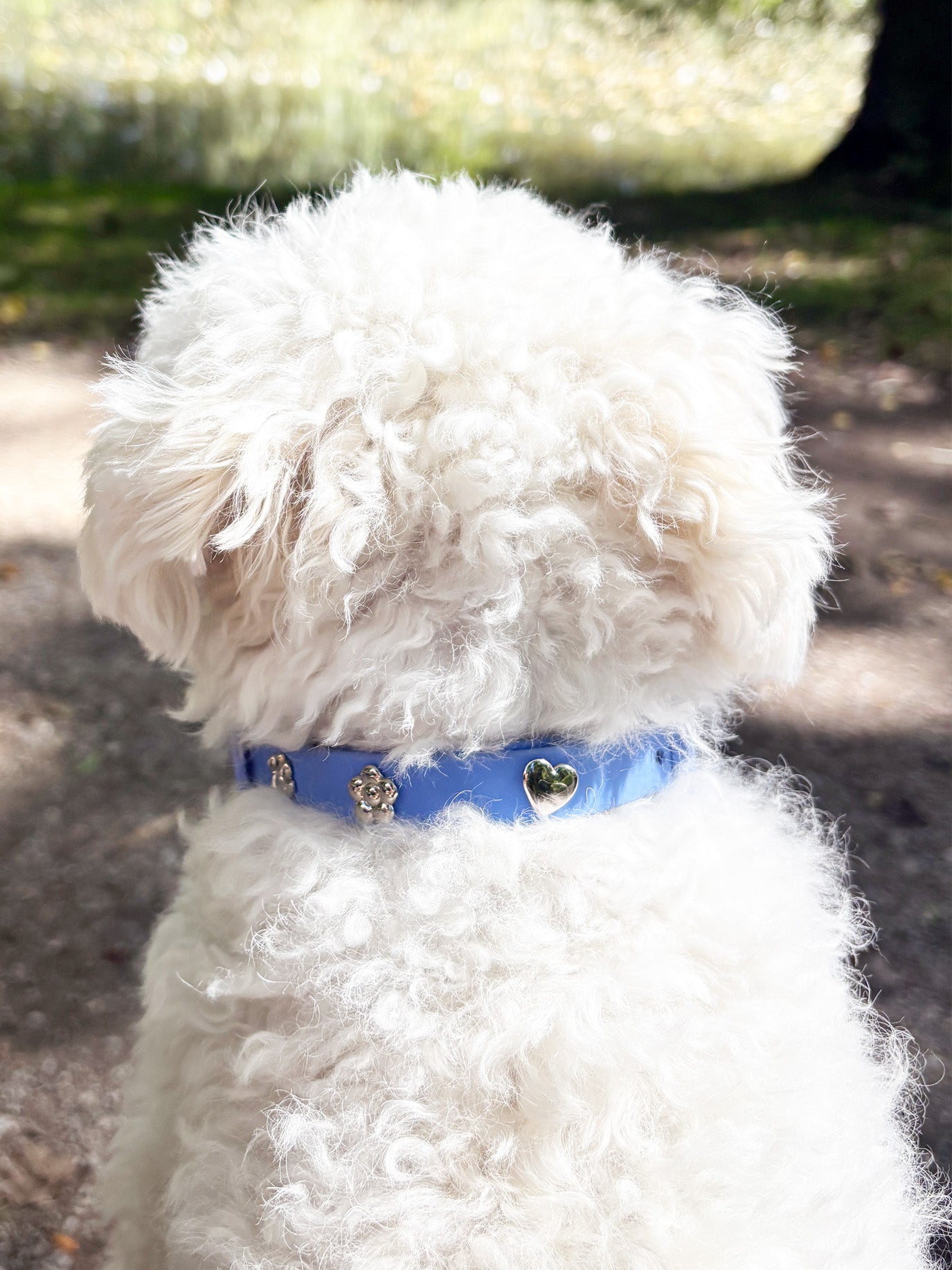Herz Silber Hundehalsband Anhänger