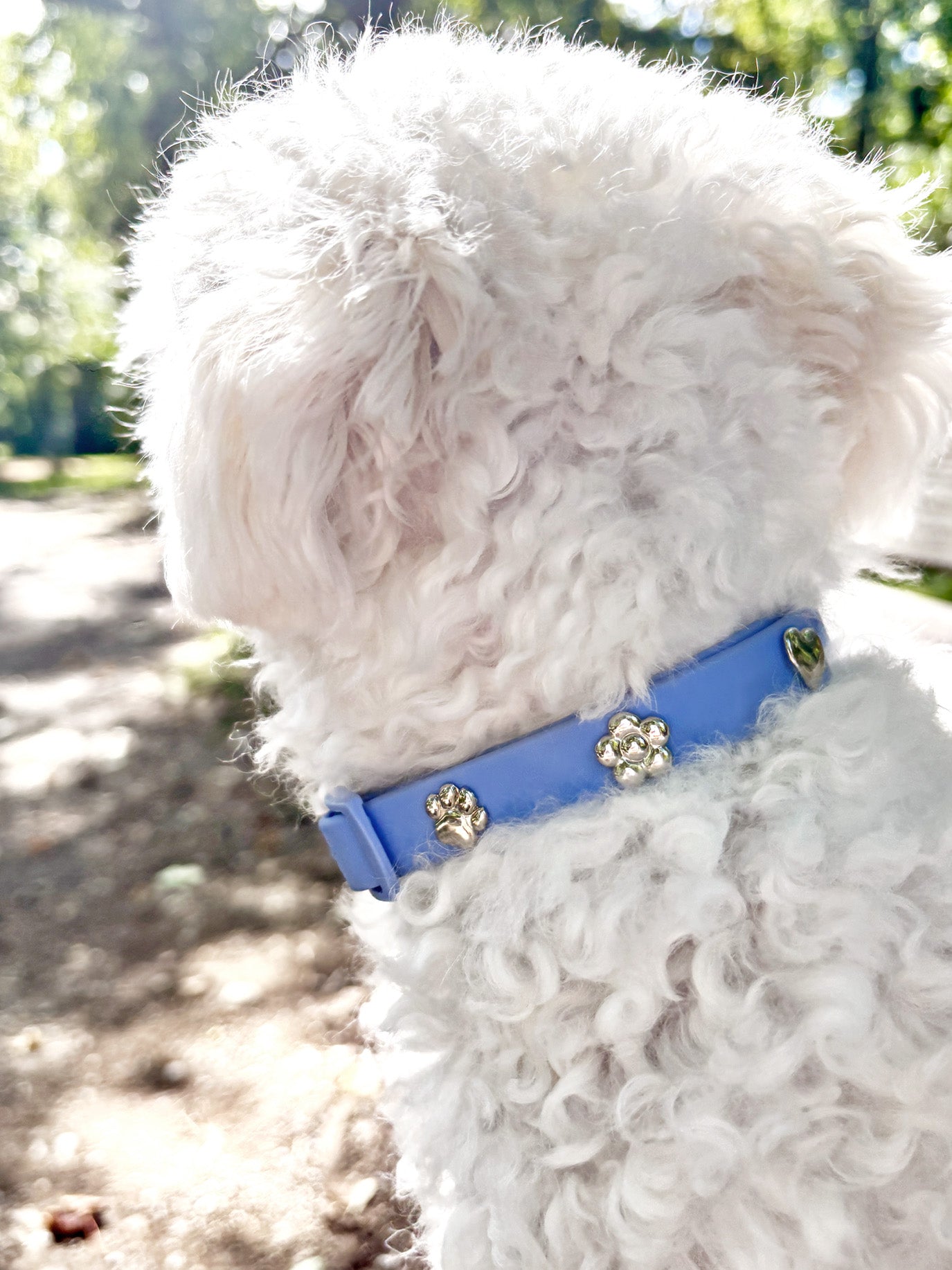 Pfote Silber Hundehalsband Anhänger