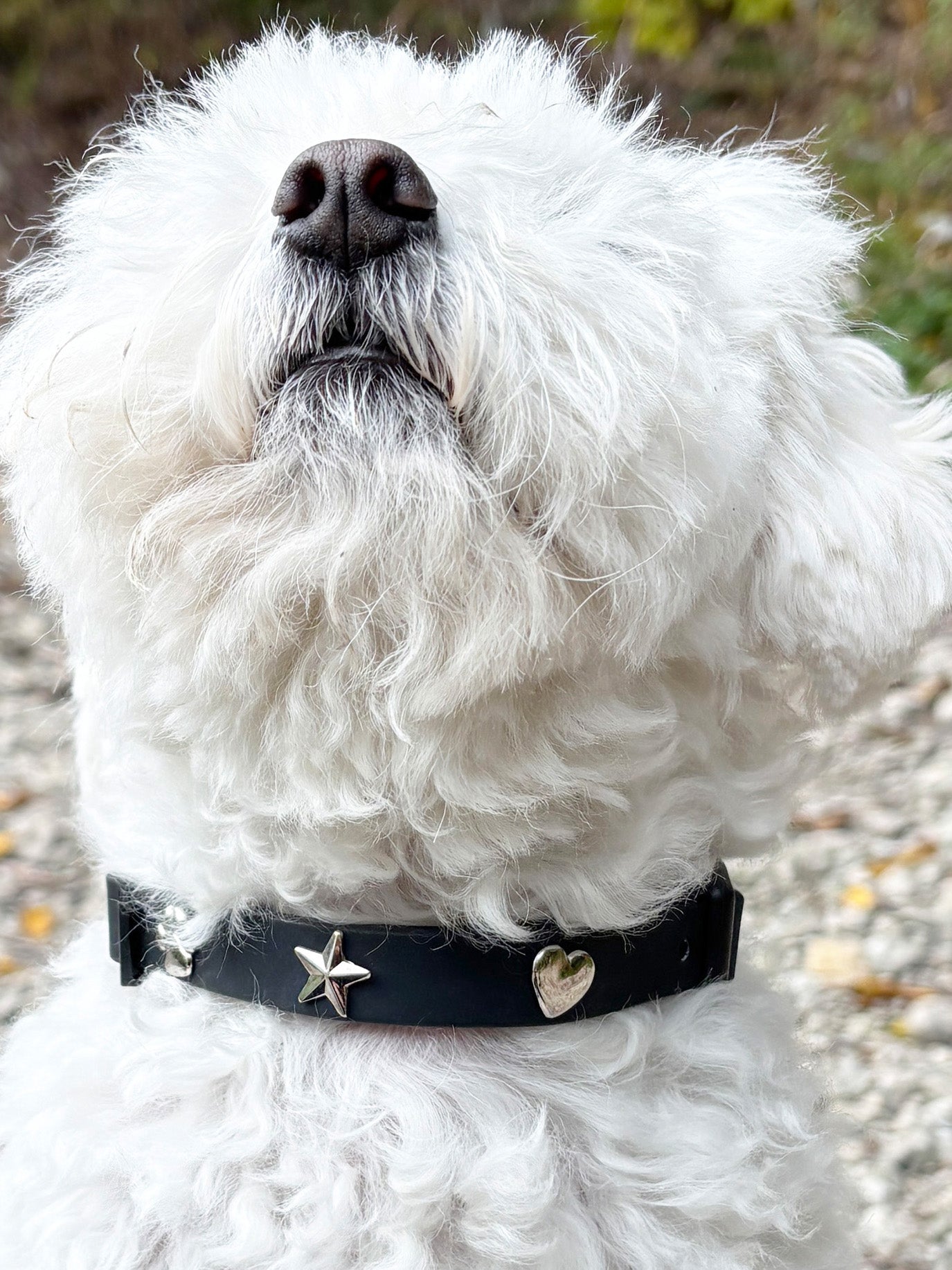 Herz Silber Hundehalsband Anhänger