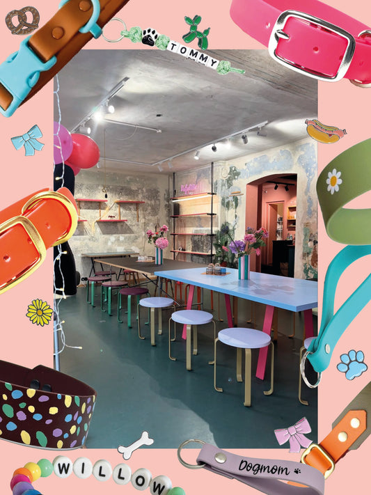 Hundehalsband Biothane Workshop DIY München