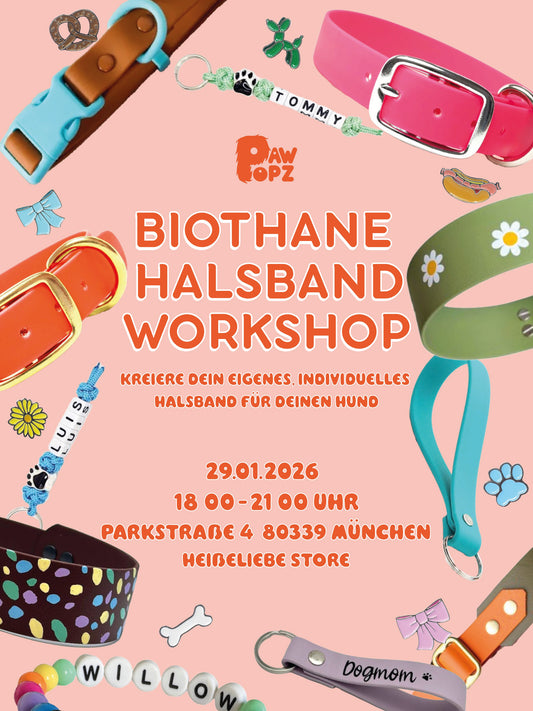 Hundehalsband Biothane Workshop DIY München